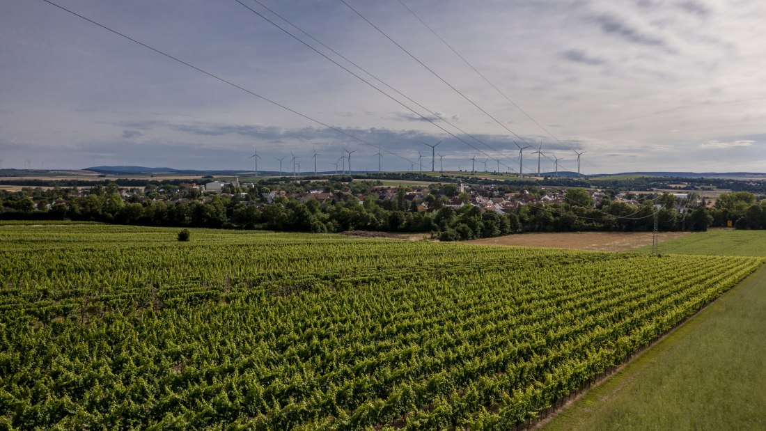 Wallertheimer Vogelsang-DJI_0753, © Rheinhessenwein e.V., Torsten Silz Wallertheimer Vogelsang-DJI_0753, © Rheinhessenwein e.V., Torsten Silz