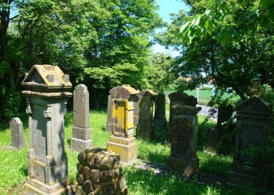 Jüdischer Friedhof Mainz © Landeshauptstadt Mainz Jüdischer Friedhof Mainz © Landeshauptstadt Mainz