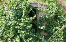 Peters Heisje © Michael Jung Peters Heisje © Michael Jung