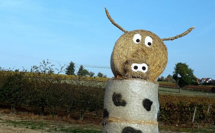 <p>Bauern- und Handwerkermarkt Nieder-Hilbersheim</p>
<p>Bauern- und Handwerkermarkt Nieder-Hilbersheim</p>