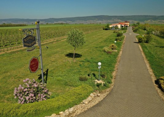 Motorhome parking space Weingut Menk Motorhome parking space Weingut Menk