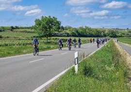 RheinRadeln 01, © Rheinhessen-Touristk GmbH, Katja Zentel RheinRadeln 01, © Rheinhessen-Touristk GmbH, Katja Zentel