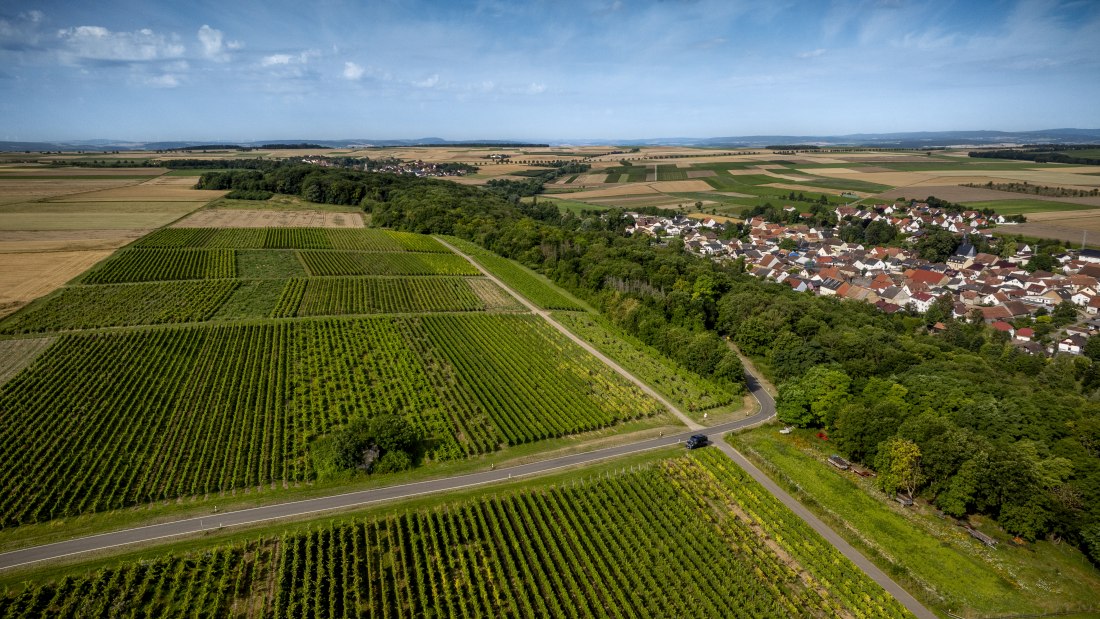 Nieder-Hilbersheimer Steinacker, © Torsten Silz Nieder-Hilbersheimer Steinacker, © Torsten Silz