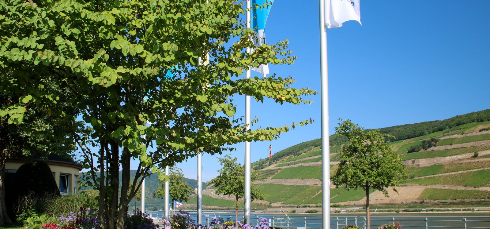 Das Rheinufer in Bingen ist Kulturufer Das Rheinufer in Bingen ist Kulturufer