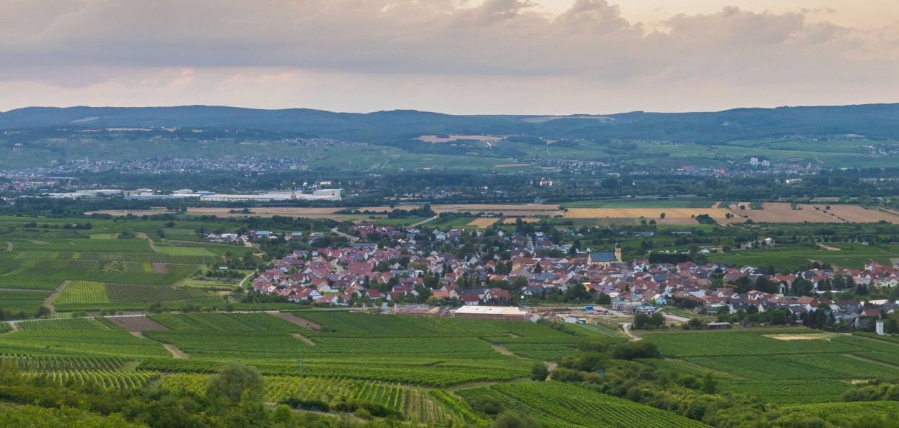 FamilienWeinGut Feser_Jakobsberg, © FamilienWeinGut Feser FamilienWeinGut Feser_Jakobsberg, © FamilienWeinGut Feser