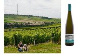 2 © Weingut Rebenhof 2 © Weingut Rebenhof
