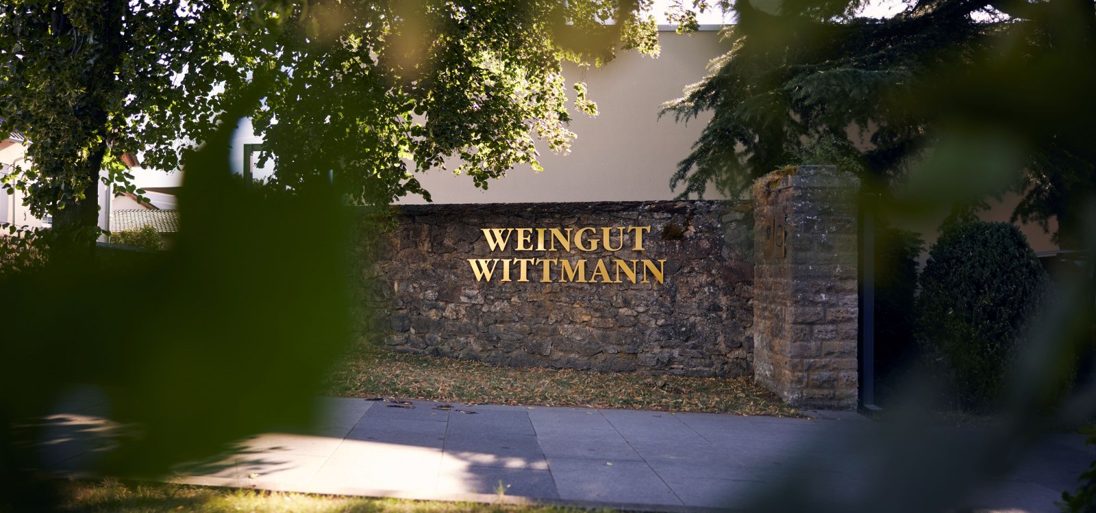 Weingut Wittmann_Einfahrt Weingut_by David Maurer Weingut Wittmann_Einfahrt Weingut_by David Maurer