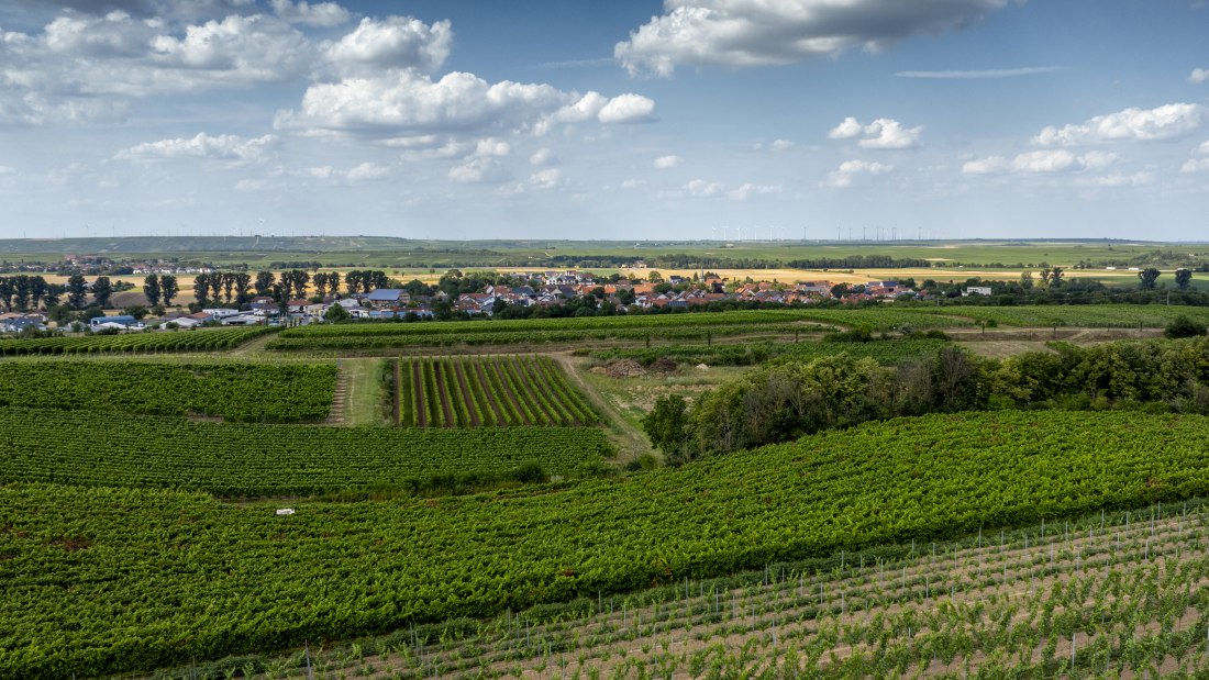 Mörstädter Katzebuckel, © Torsten Silz Mörstädter Katzebuckel, © Torsten Silz