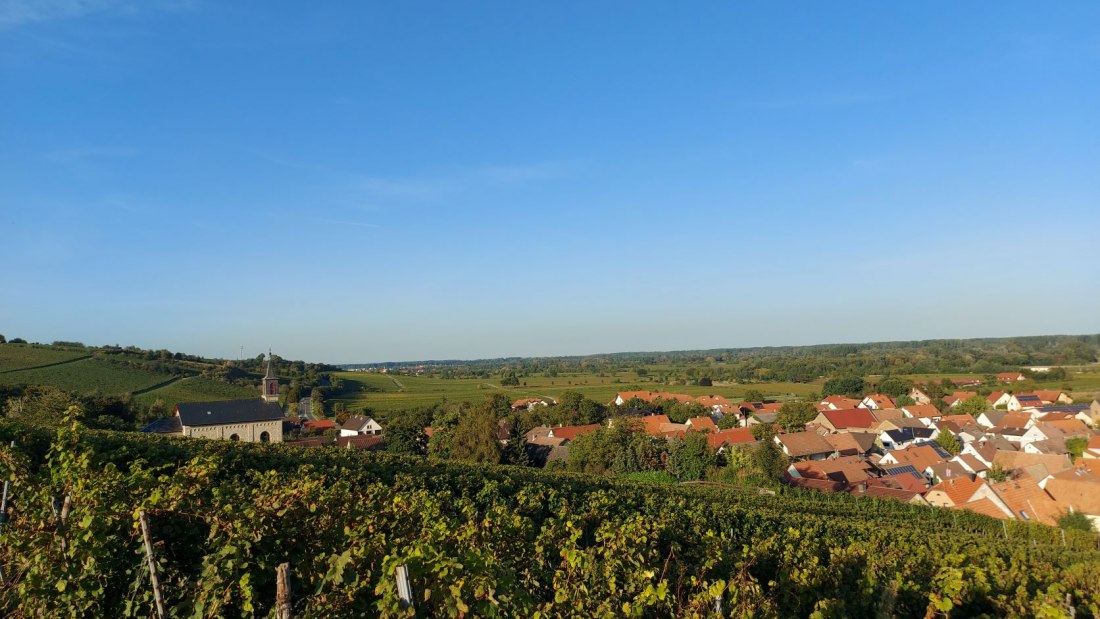 Weingut Otto Becker_Ludwigshoehe, © Weingut Otto Becker Weingut Otto Becker_Ludwigshoehe, © Weingut Otto Becker