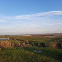 Junghennblick Ausblick Uelversheim © TSC Rhein-Selz Junghennblick Ausblick Uelversheim © TSC Rhein-Selz
