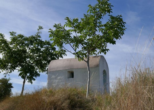 Rosa Heisje © Michael Jung Rosa Heisje © Michael Jung