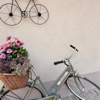 markt-quartier-nierstein-fahrradgarage-fahrrad markt-quartier-nierstein-fahrradgarage-fahrrad
