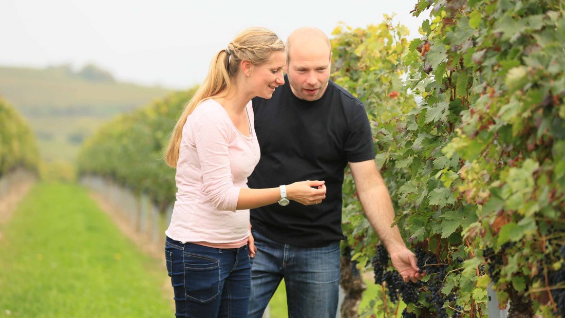 klieber2, © Weingut Klieber klieber2, © Weingut Klieber
