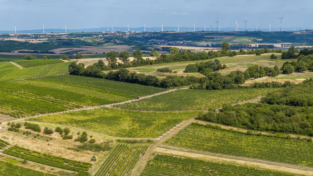 Sankt Johanner Klostergarten, © Torsten Silz Sankt Johanner Klostergarten, © Torsten Silz