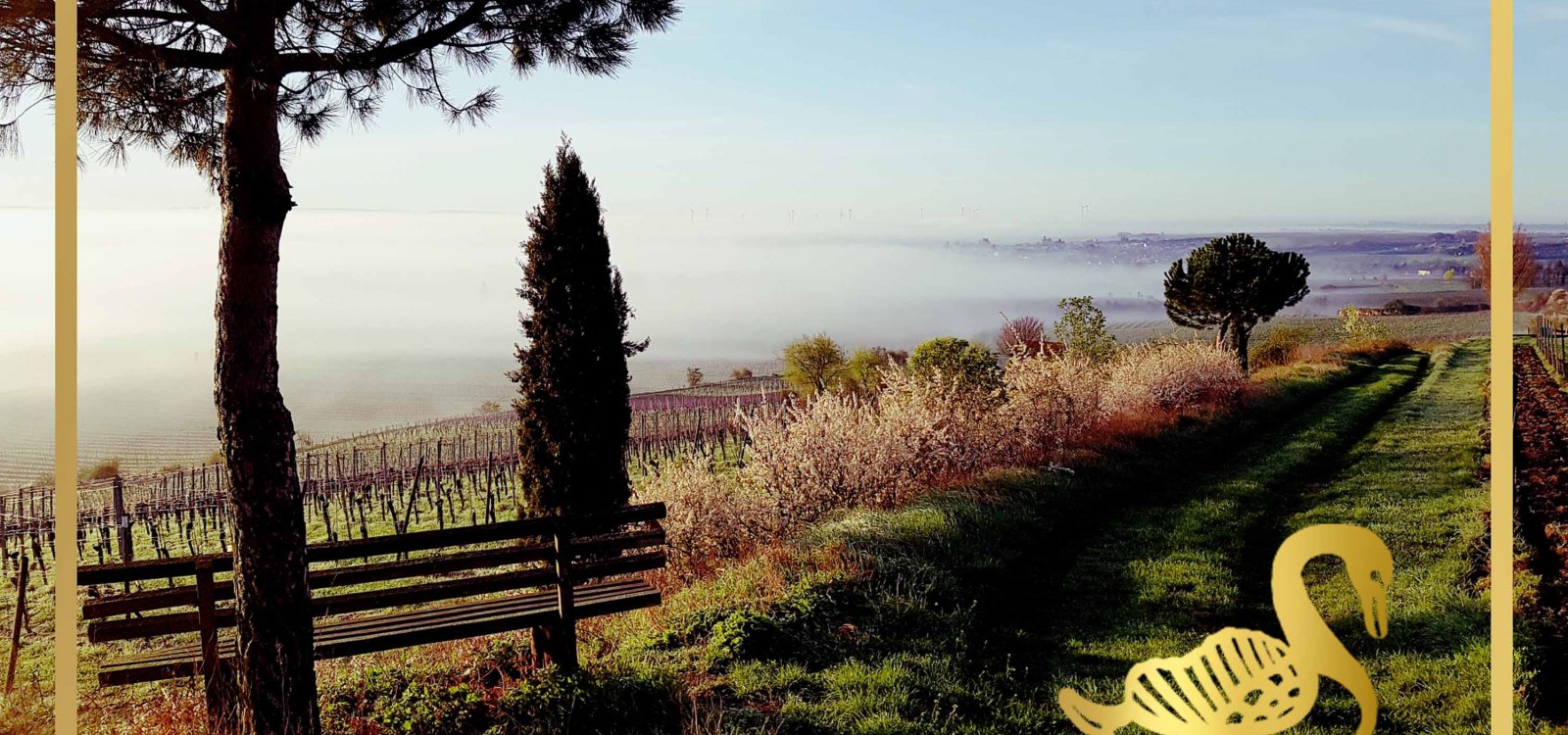 logo-afbeelding-for-weinartwonnegau, © Weingut Schwahn-Fehlinger logo-afbeelding-for-weinartwonnegau, © Weingut Schwahn-Fehlinger