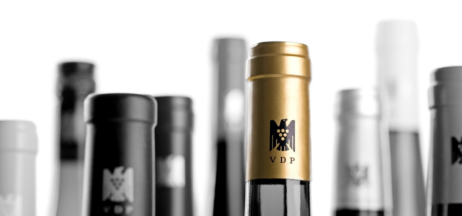 VDP capsule image, © VDP / VDP Rheinhessen VDP capsule image, © VDP / VDP Rheinhessen