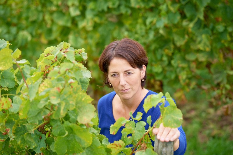 Weingut Schoeneck-Schnell_Winzerin, © Weingut Schoeneck-Schnell Weingut Schoeneck-Schnell_Winzerin, © Weingut Schoeneck-Schnell