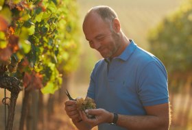 Weingut Dr. Koehler_Christian Dreißigacker © Weingut Dr. Koehler Weingut Dr. Koehler_Christian Dreißigacker © Weingut Dr. Koehler