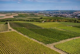 Alzeyer Rotenfels Alzeyer Rotenfels