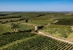 Osthofener Goldberg Osthofener Goldberg