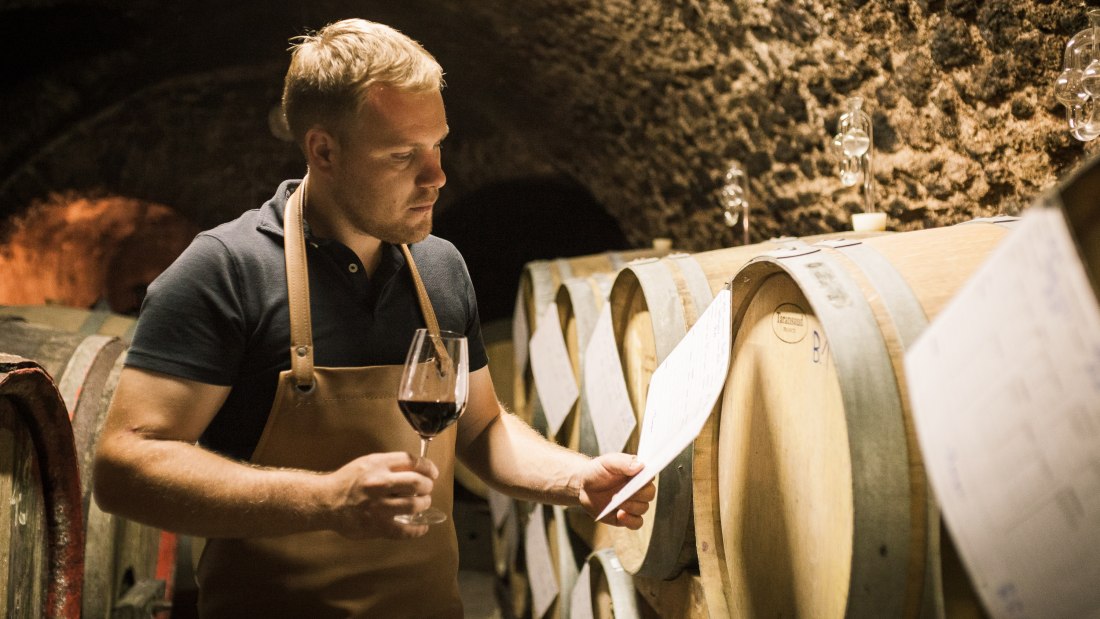 © Weingut Dackermann © Weingut Dackermann