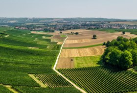 Selztalblick © Dominik Ketz - Rheinhessen Touristik GmbH Selztalblick © Dominik Ketz - Rheinhessen Touristik GmbH