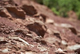 Red clay rigosol Red clay rigosol