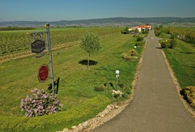 Camper parkeerplaats Weingut Menk Camper parkeerplaats Weingut Menk