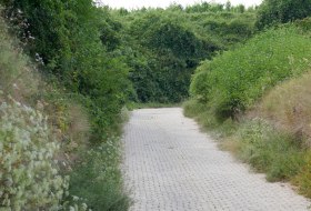 Kirschbühl Hohl © Michael Jung Kirschbühl Hohl © Michael Jung