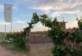 Alte Mistkaut am RheinTerrassenWeg Alte Mistkaut am RheinTerrassenWeg