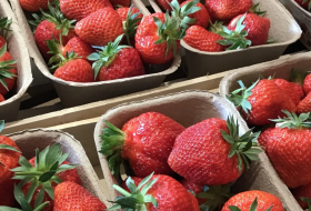 Dreimorgenhof Dreimorgenhof