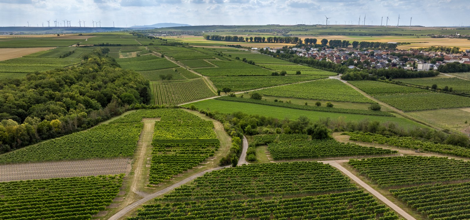 Mörstädter Katzebuckel, © Torsten Silz Mörstädter Katzebuckel, © Torsten Silz