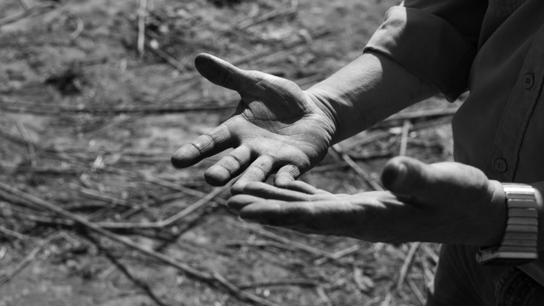 TerraPreta_2 TerraPreta_2