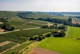 Saulheimer Schloßberg Saulheimer Schloßberg