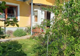Garten Garten