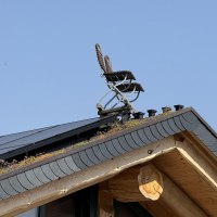 2024-09-18 12-31-38 2024-09-18 12-31-38