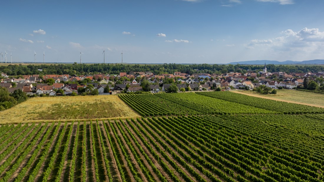 Heppenheimer Schneckenberg, © Torsten Silz Heppenheimer Schneckenberg, © Torsten Silz