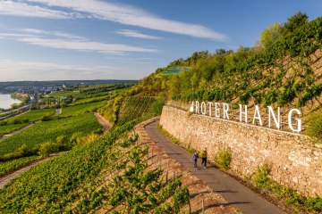 Roter Hang Blick Richtung Nierstein Roter Hang Blick Richtung Nierstein