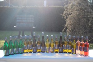 Weingut Siebenhof_Weinflaschen, © Weingut Siebenhof Weingut Siebenhof_Weinflaschen, © Weingut Siebenhof