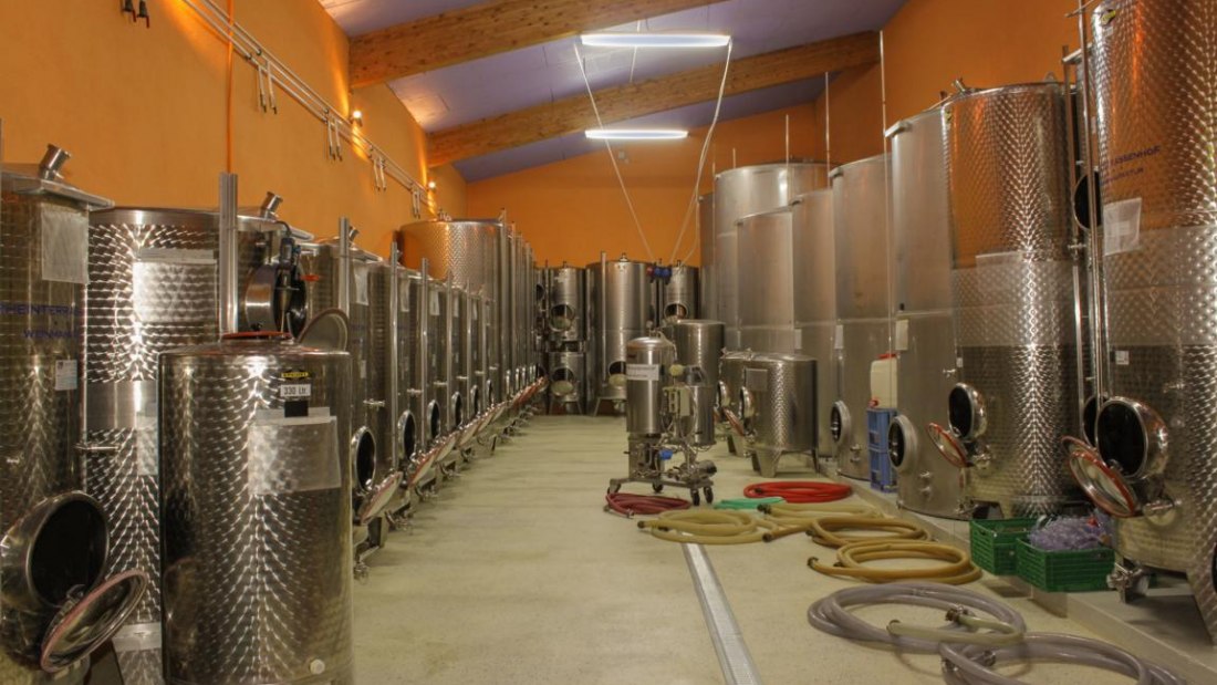 Weingut Rheinterrassenhof_Keller, © Weingut Rheinterrassenhof Weingut Rheinterrassenhof_Keller, © Weingut Rheinterrassenhof