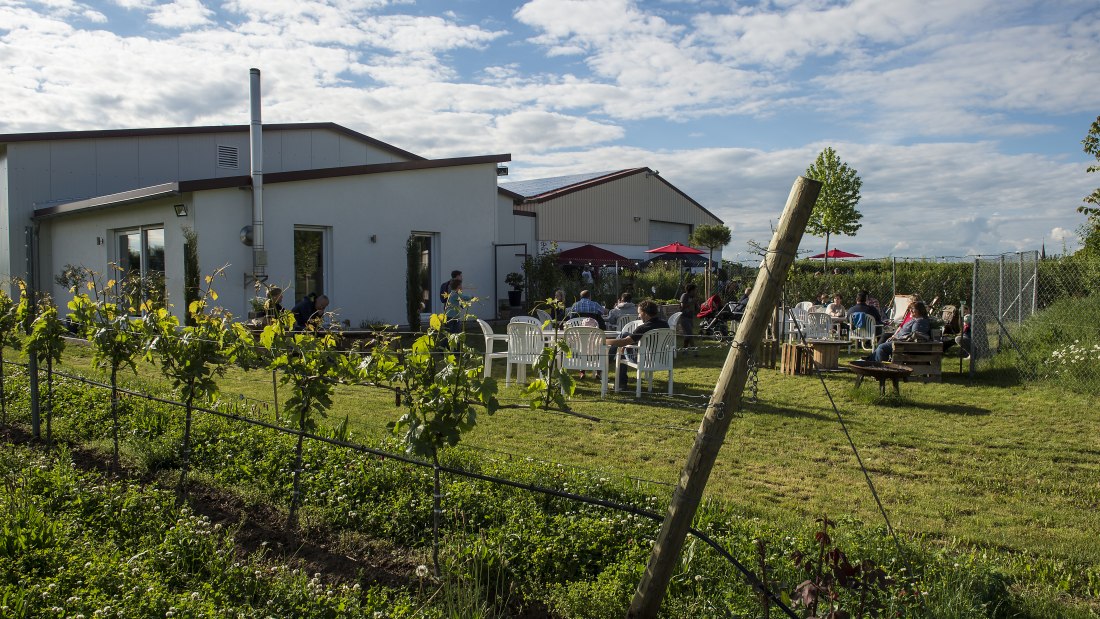 Weingut Kiefer_Draußen, © Weingut Kiefer Weingut Kiefer_Draußen, © Weingut Kiefer