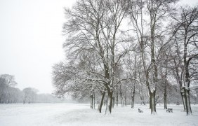 Es hat geschneit im Wormser Wäldchen © Bernward Bertram Es hat geschneit im Wormser Wäldchen © Bernward Bertram