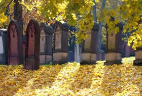 Alter Jüdischer Friedhof © Sascha Kopp/Landeshauptstadt Mainz Alter Jüdischer Friedhof © Sascha Kopp/Landeshauptstadt Mainz