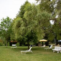 Freibad Sprendlingen, Liegewiese Freibad Sprendlingen, Liegewiese