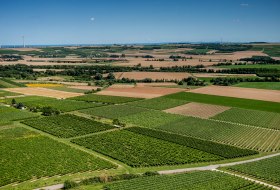 Ober-Olmer Kapellenberg Ober-Olmer Kapellenberg