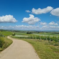 In zwei Minuten ist man zu Fuß in den malerischen In zwei Minuten ist man zu Fuß in den malerischen