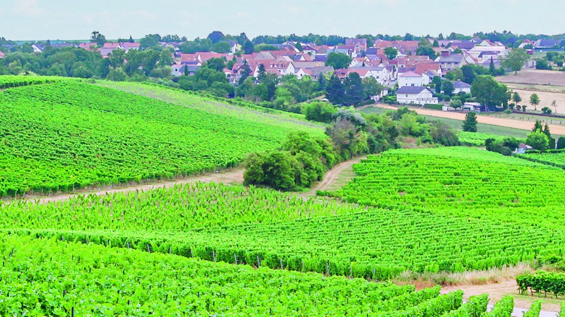 Weingut Seck_Schuetzenhuette, © Axel Seck Weingut Seck_Schuetzenhuette, © Axel Seck