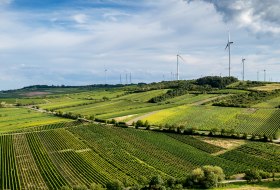 Framersheimer Hornberg Framersheimer Hornberg