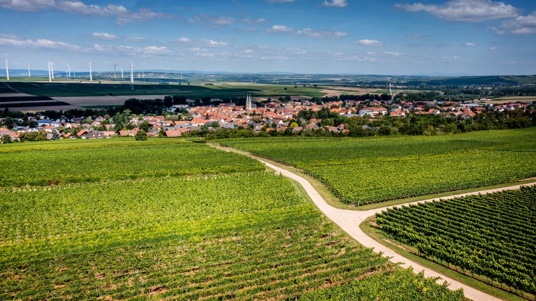 Flonheimer Rotenpfad, © Rheinhessenwein e.V./Torsten Silz Flonheimer Rotenpfad, © Rheinhessenwein e.V./Torsten Silz