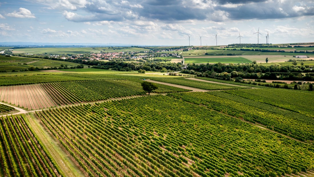 Hangen-Weisheimer Sommerwende Hangen-Weisheimer Sommerwende